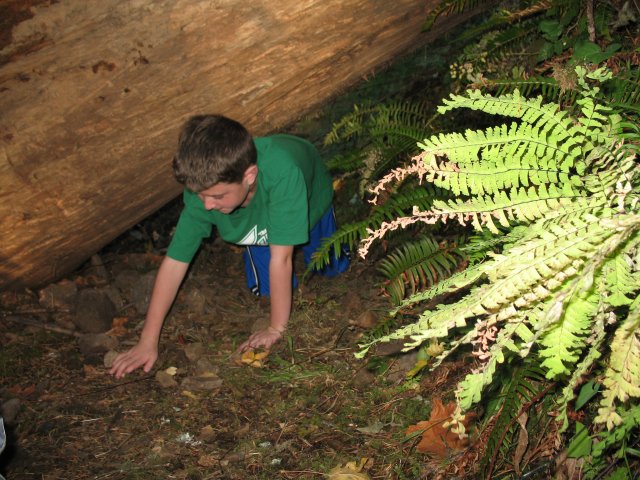 10.21.06 Wauna Viewpoint 086 